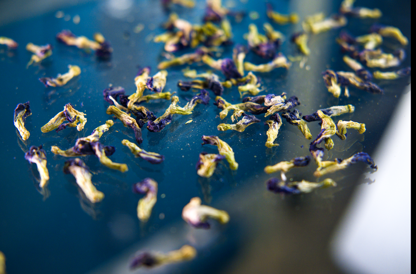 Butterfly Pea (Aparajita) Flowers Tea