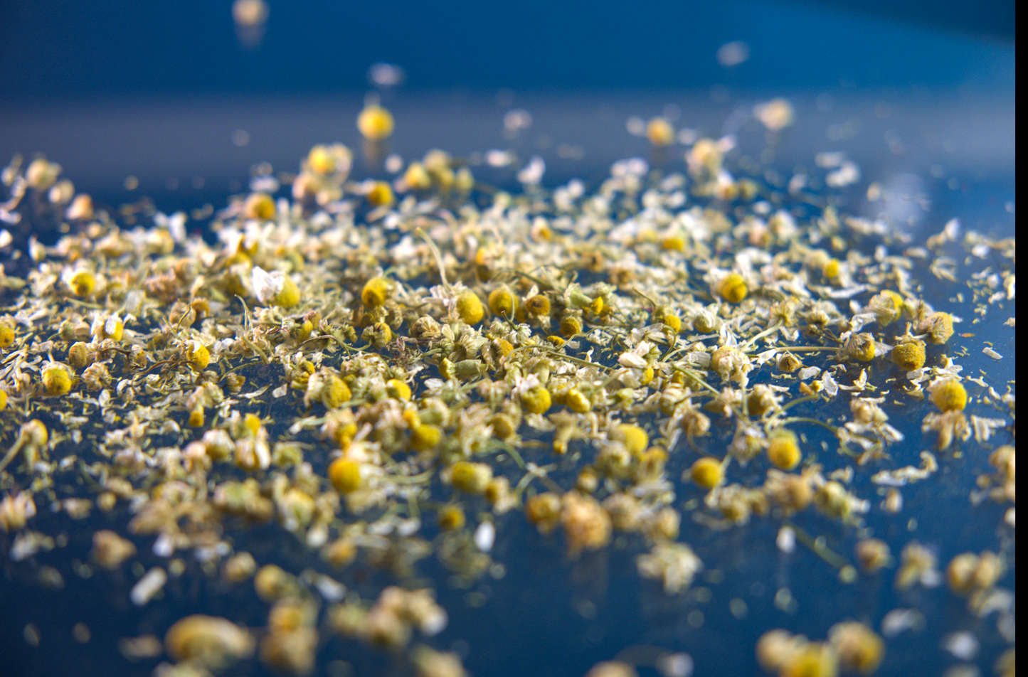 Chamomile Flower Tea