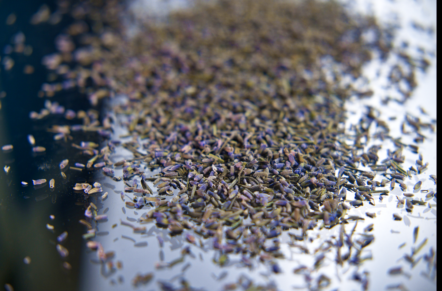 Lavender Flower Tea