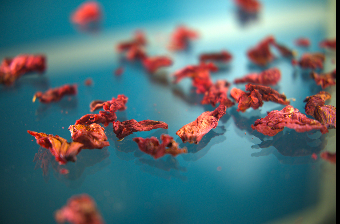 Rhododendron Flowers Tea